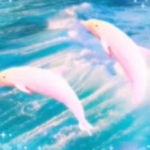 Meet your Posher, Vincent